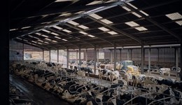 Shropshire: Climate resilience through mitigating risk